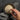 Comparing The Exchange® (Dynacol Zeolite), Bentonite Clay & Diatomaceous Earth