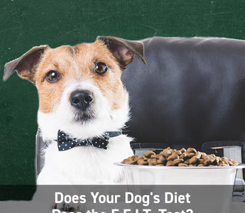 Does Your Dog's Diet Pass the F.F.I.T. Test?