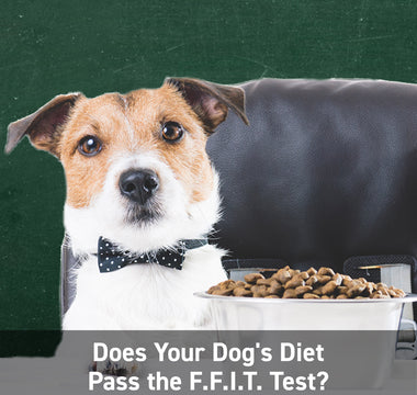 Does Your Dog's Diet Pass the F.F.I.T. Test?