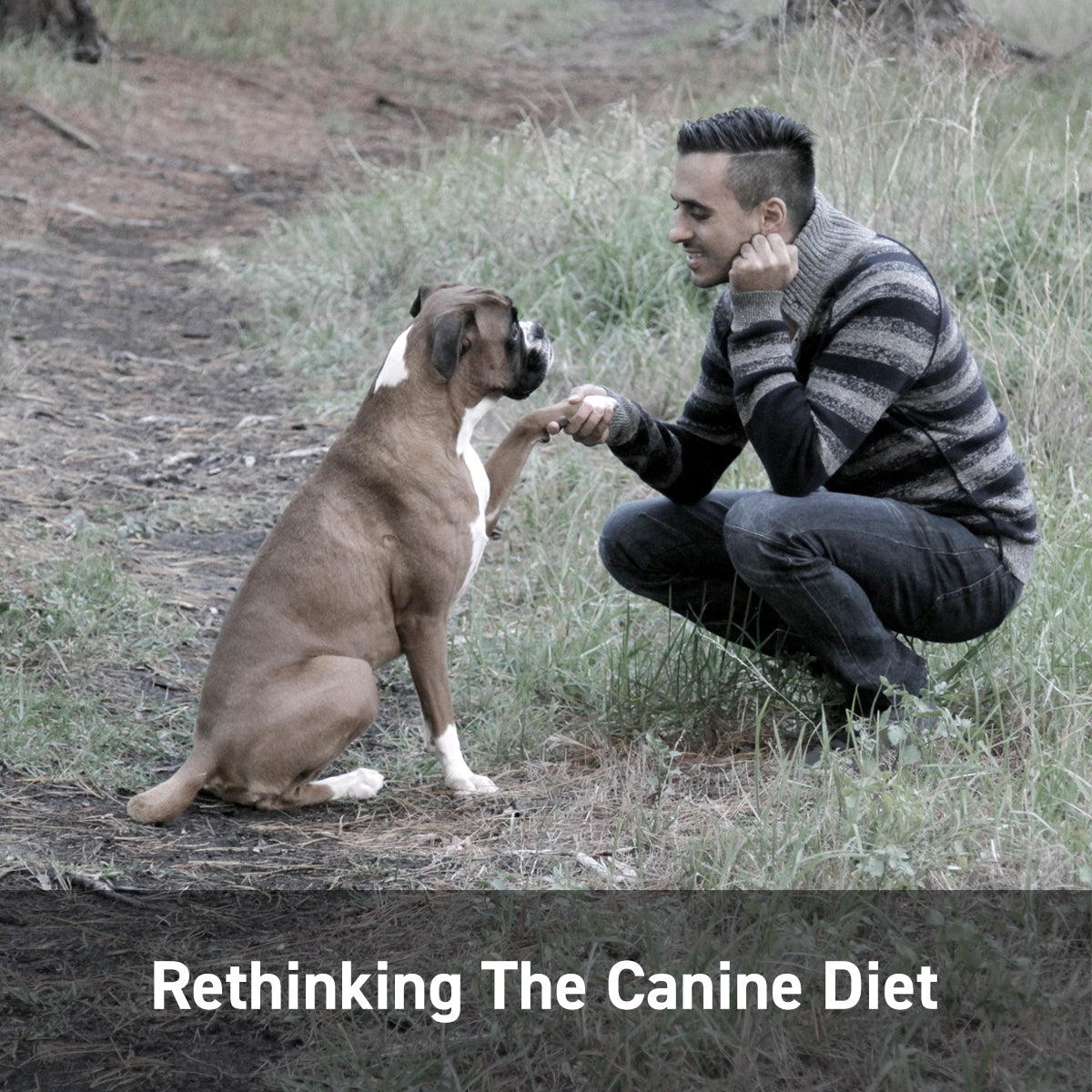 Rethinking The Canine Diet