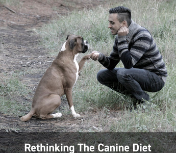 Rethinking The Canine Diet