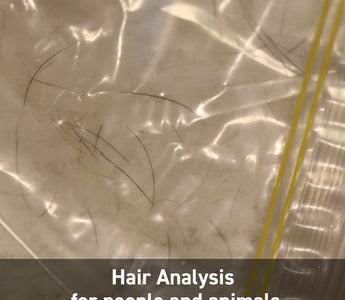 Hair Analysis for people and animals