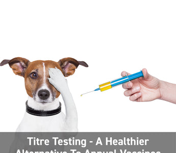 Titre - Testing A Healthier Alternative To Annual Vaccines