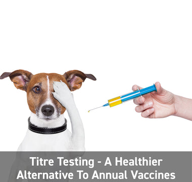 Titre - Testing A Healthier Alternative To Annual Vaccines