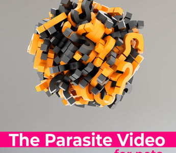 The Parasite Video For Pets