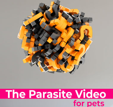 The Parasite Video For Pets