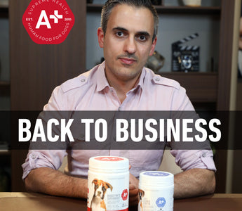 Back To Business!