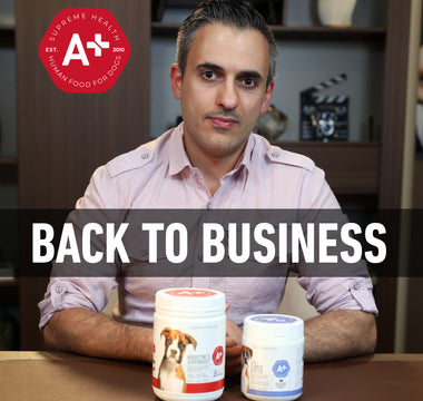 Back To Business!