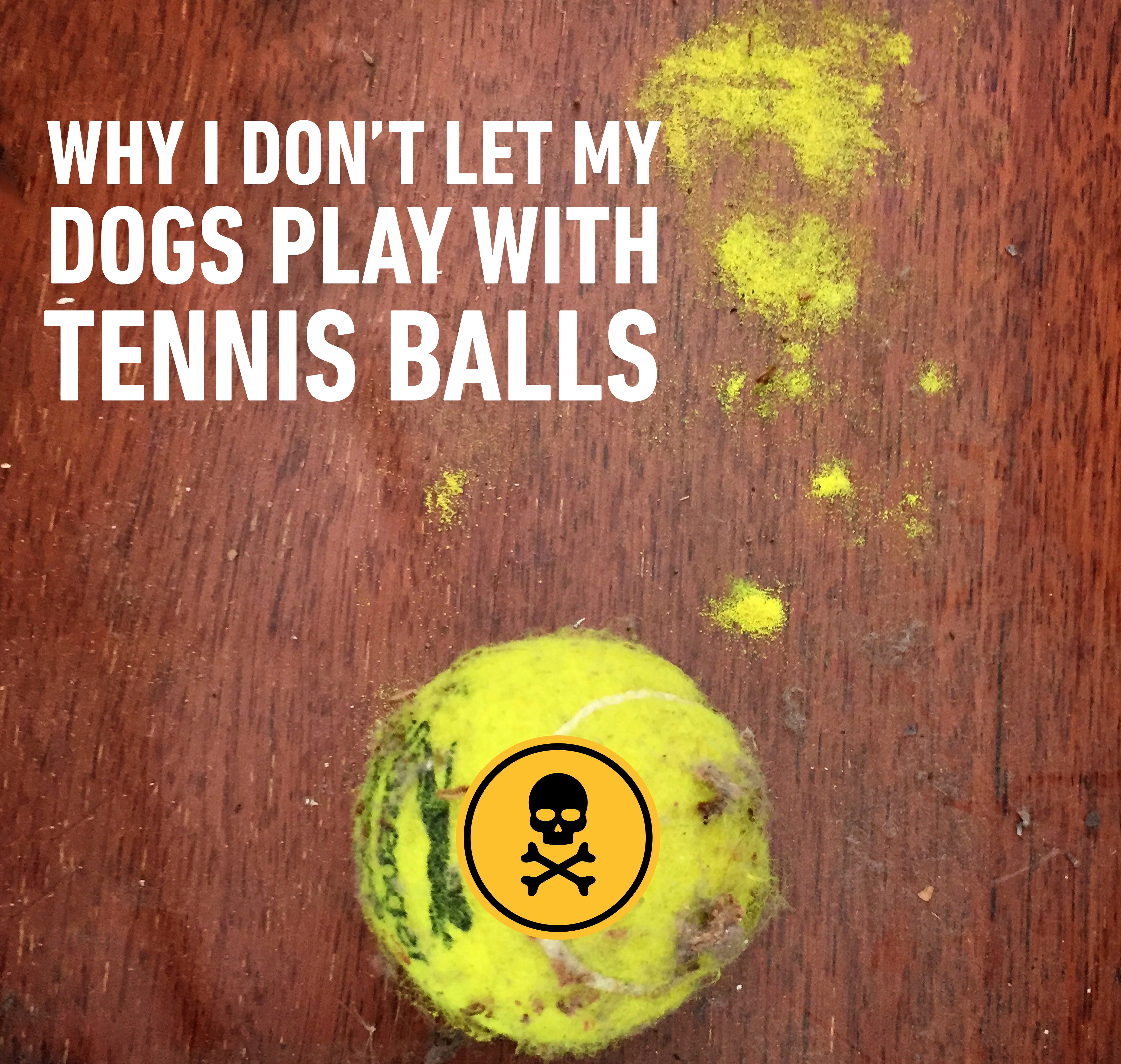 Why I don’t let my dogs play with tennis balls