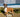 Can Dogs Really Choose Their Own Medicine? | Zoopharmacognosy
