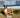 Can Dogs Really Choose Their Own Medicine? | Zoopharmacognosy