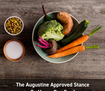 The Augustine Approved Stance On Vegan Dog Food