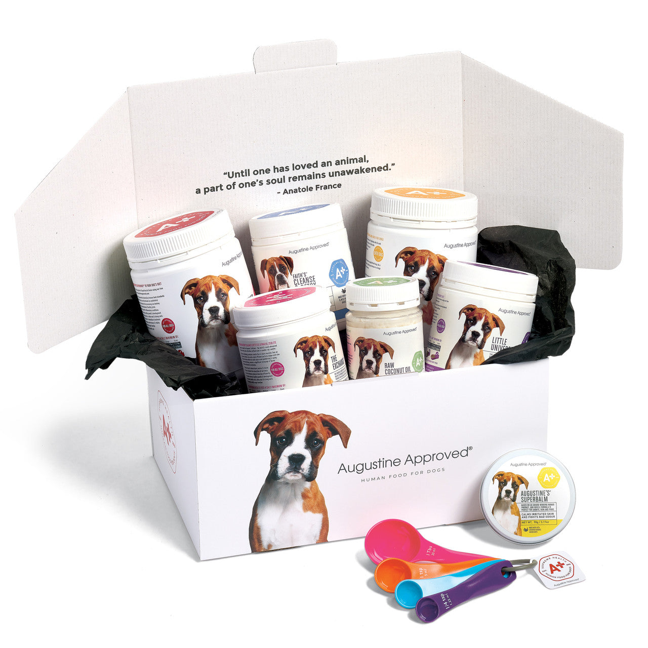 Premium Pet Packs & Bundles – Augustine Approved
