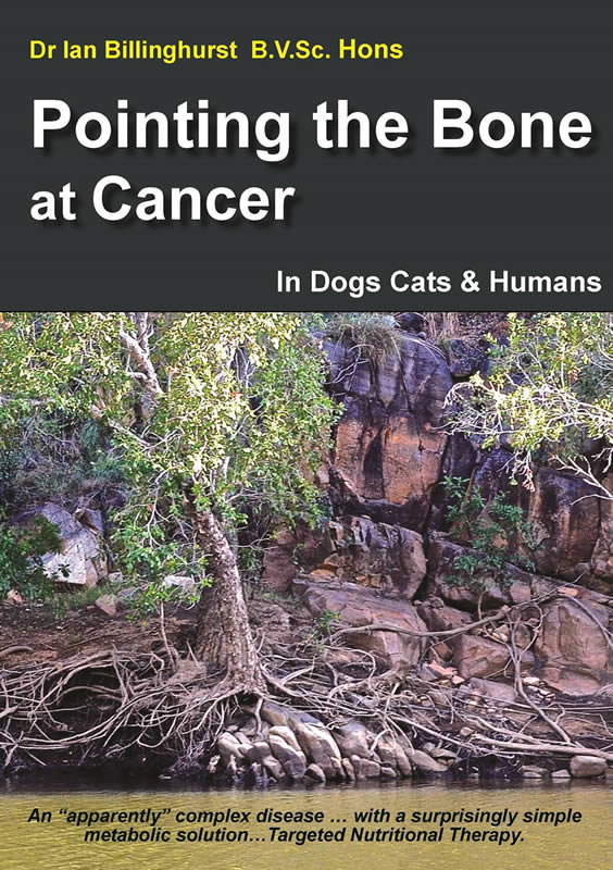Pointing The Bone At Cancer